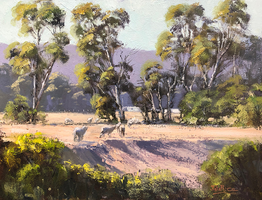 Unframed Original Landscapes by John Rice