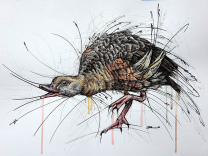 RENEE MITCHELL - AFFORDABLE ART FAIR | BRISBANE