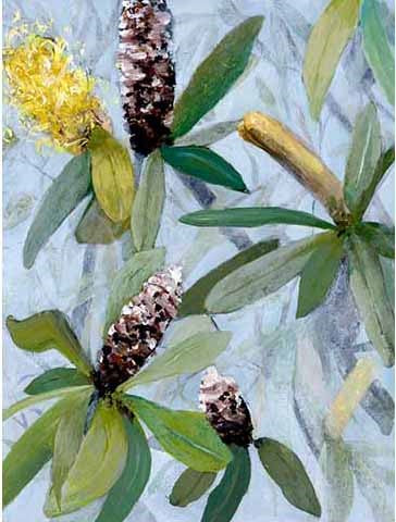 East Coast Banksia 5