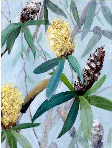 East Coast Banksia 6