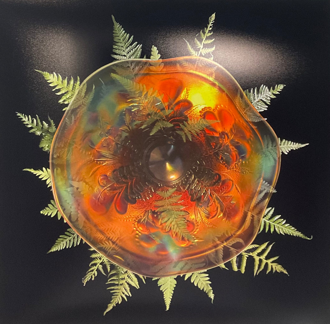 Fern (Daisy and plume exterior, Northwood)