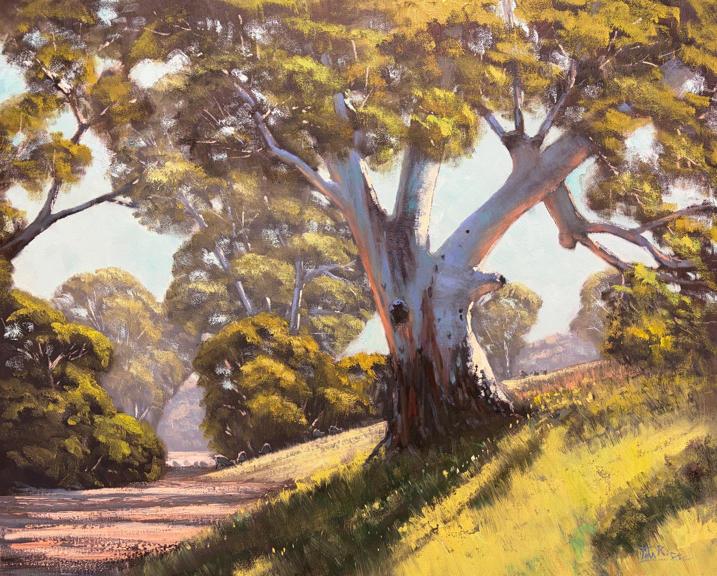 Flinders Sunshine