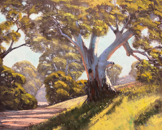 Flinders Sunshine