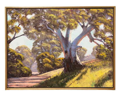 Flinders Sunshine