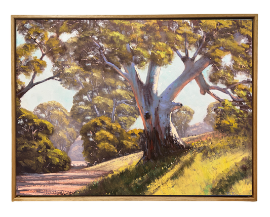 Flinders Sunshine