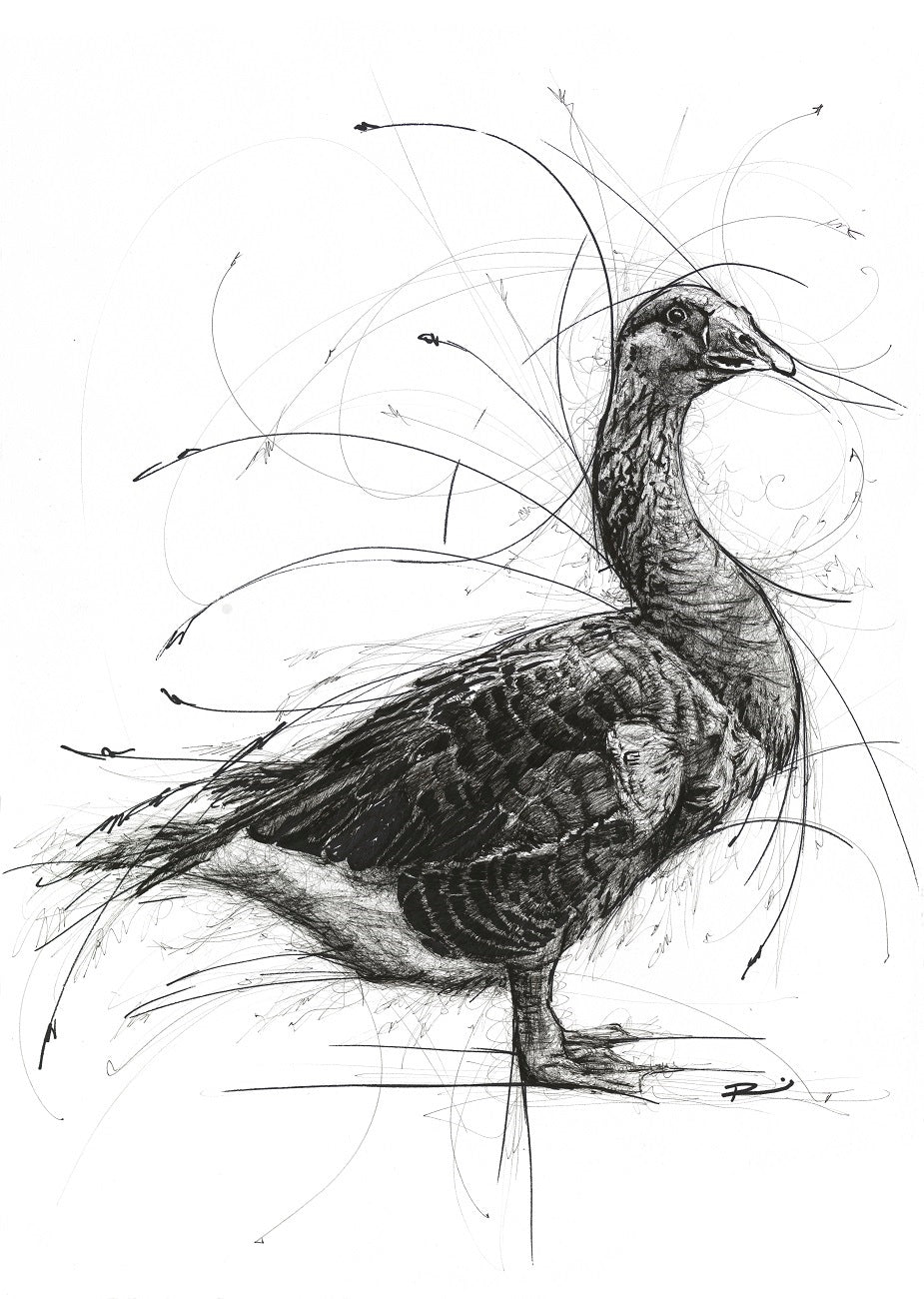 RENEE MITCHELL - AFFORDABLE ART FAIR | BRISBANE