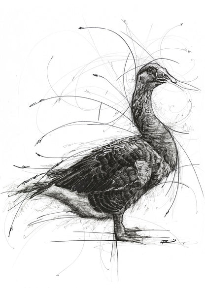 RENEE MITCHELL - AFFORDABLE ART FAIR | BRISBANE