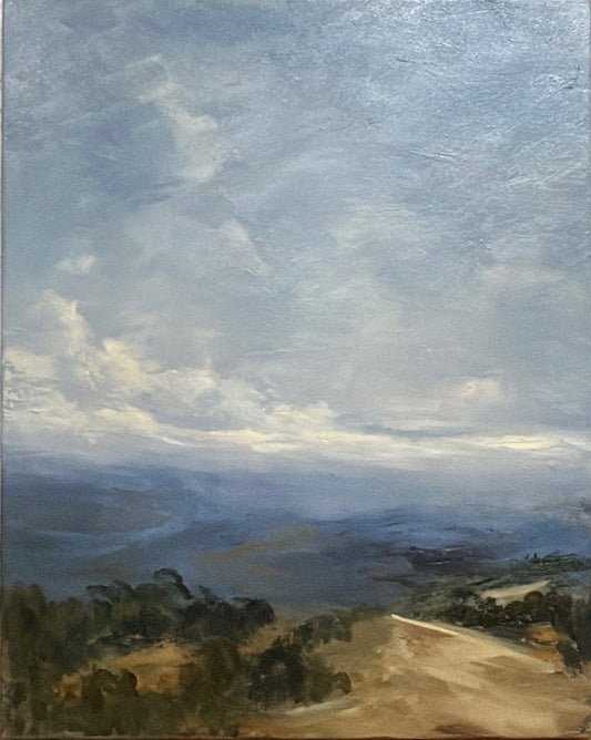 View from Moyne Farm 3