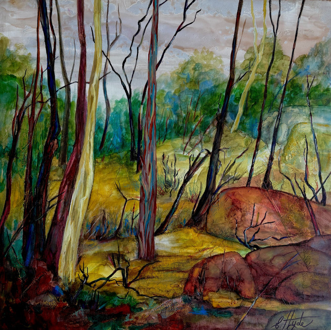 Bushwalking in Mount Victoria