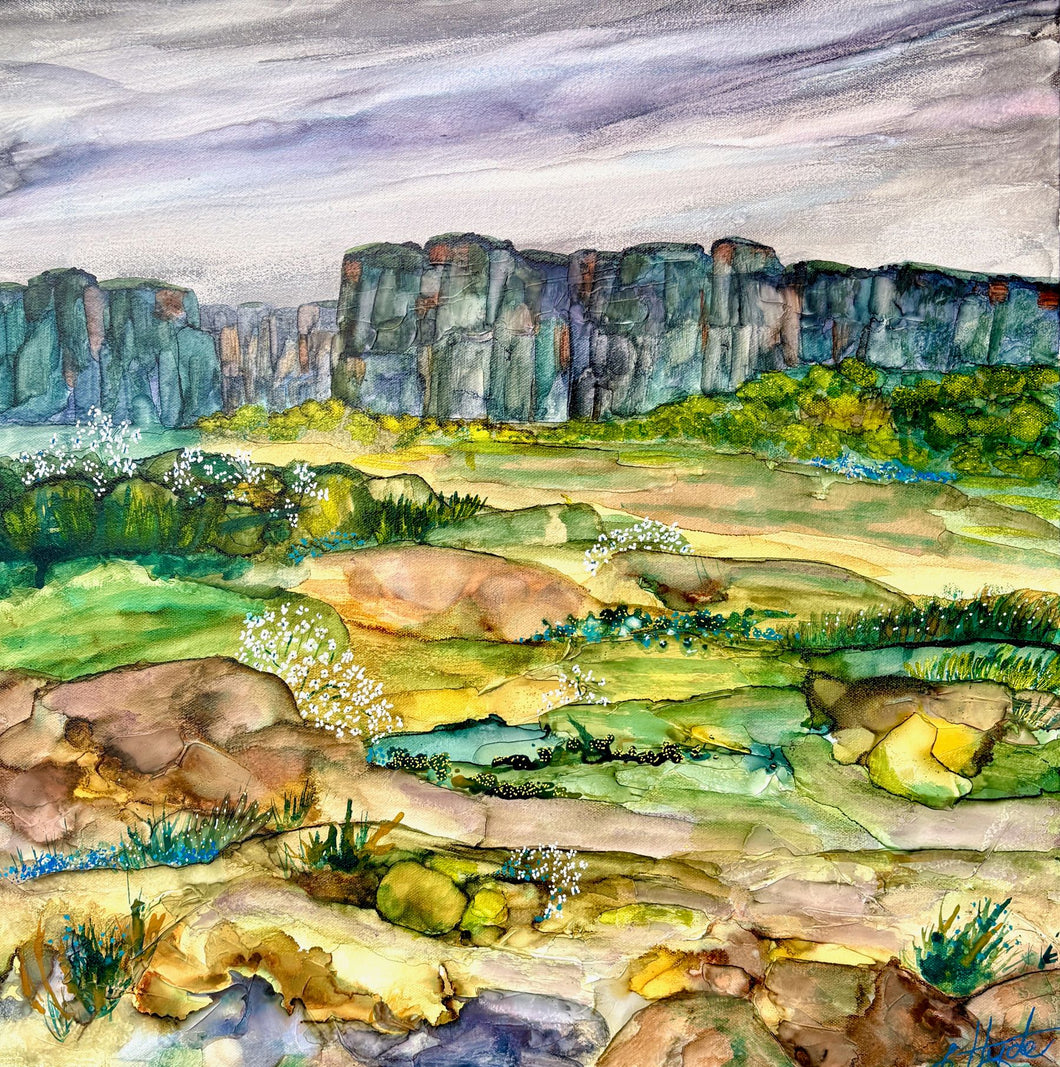 Springtime In The Valley