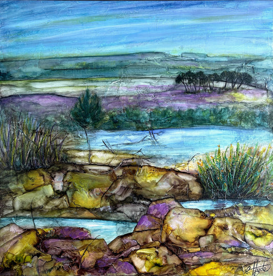 Wandering The Stream