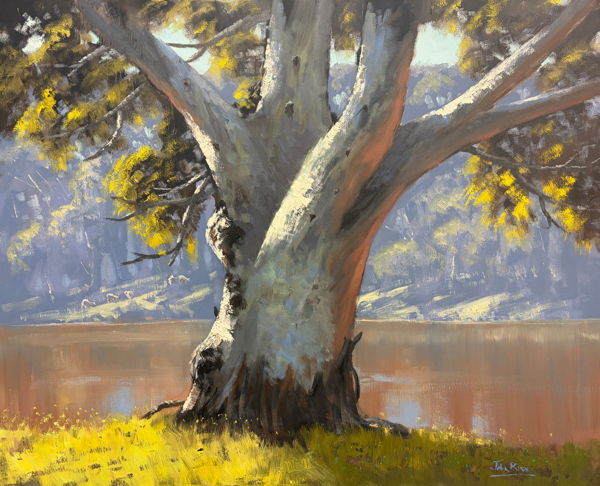 On the Macquarie