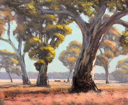 Gums at Wilbertree