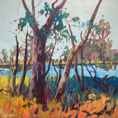 Afternoon Beers on the Murray