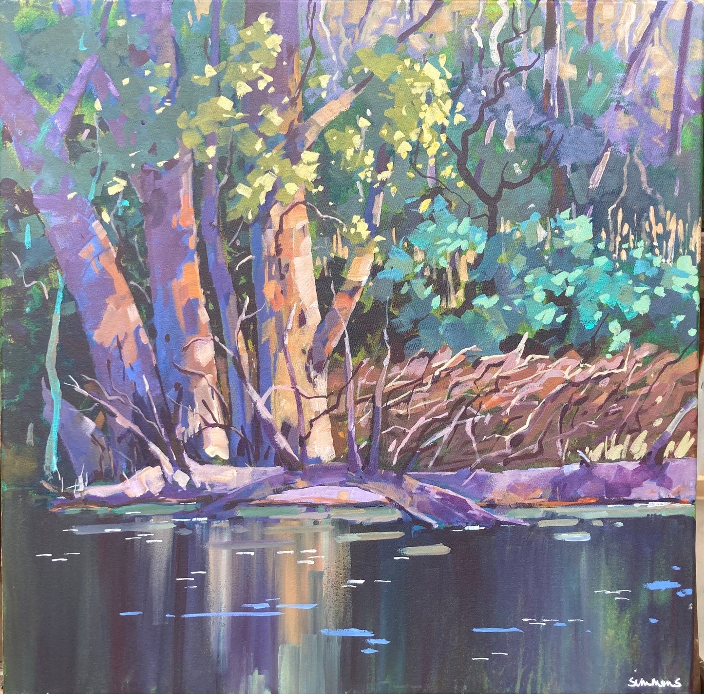 Cotter Reflections