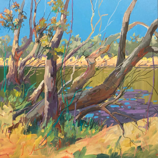 Murray River Tranquility