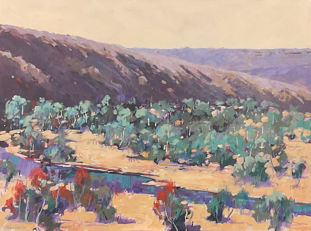 The Western Nullabor