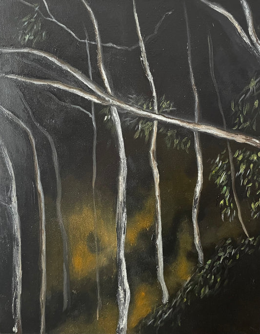 Firestorm in the Eucalypts