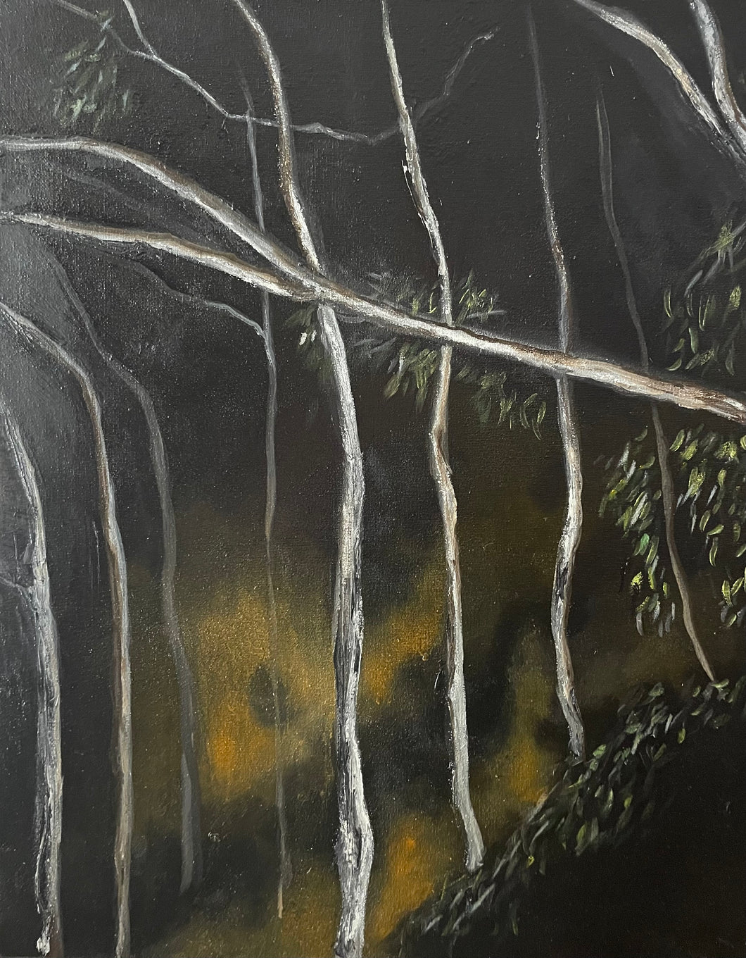 Firestorm in the Eucalypts