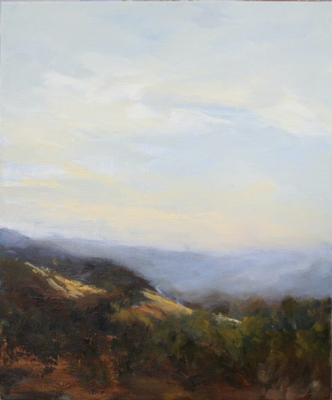 View from Moyne Farm