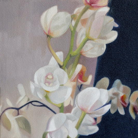 Quiet Awakenings (2024)