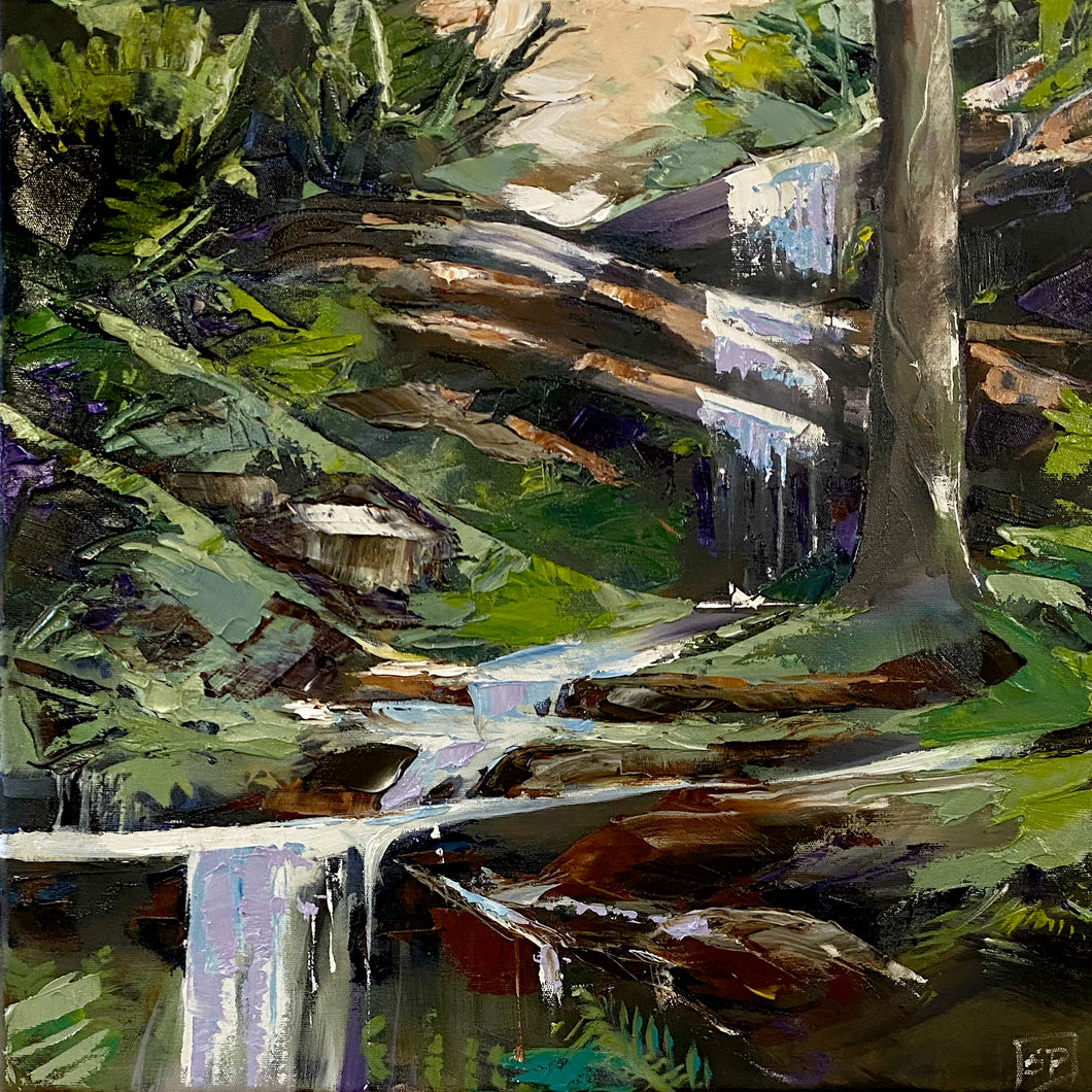 Deep Steps at the Falls