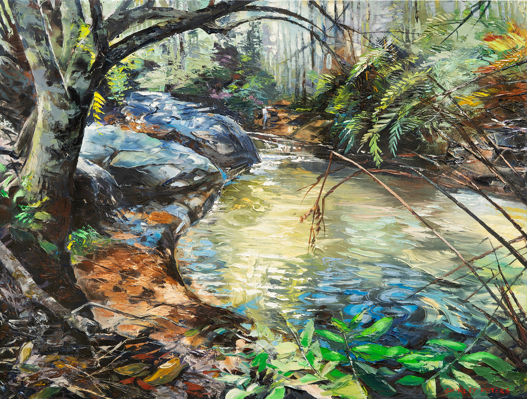 Hidden Pool at Lawson