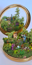 Load image into Gallery viewer, Before now, Tony couldn’t see himself tending to his neighbour’s compact lady garden.
