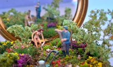 Load image into Gallery viewer, Before now, Tony couldn’t see himself tending to his neighbour’s compact lady garden.
