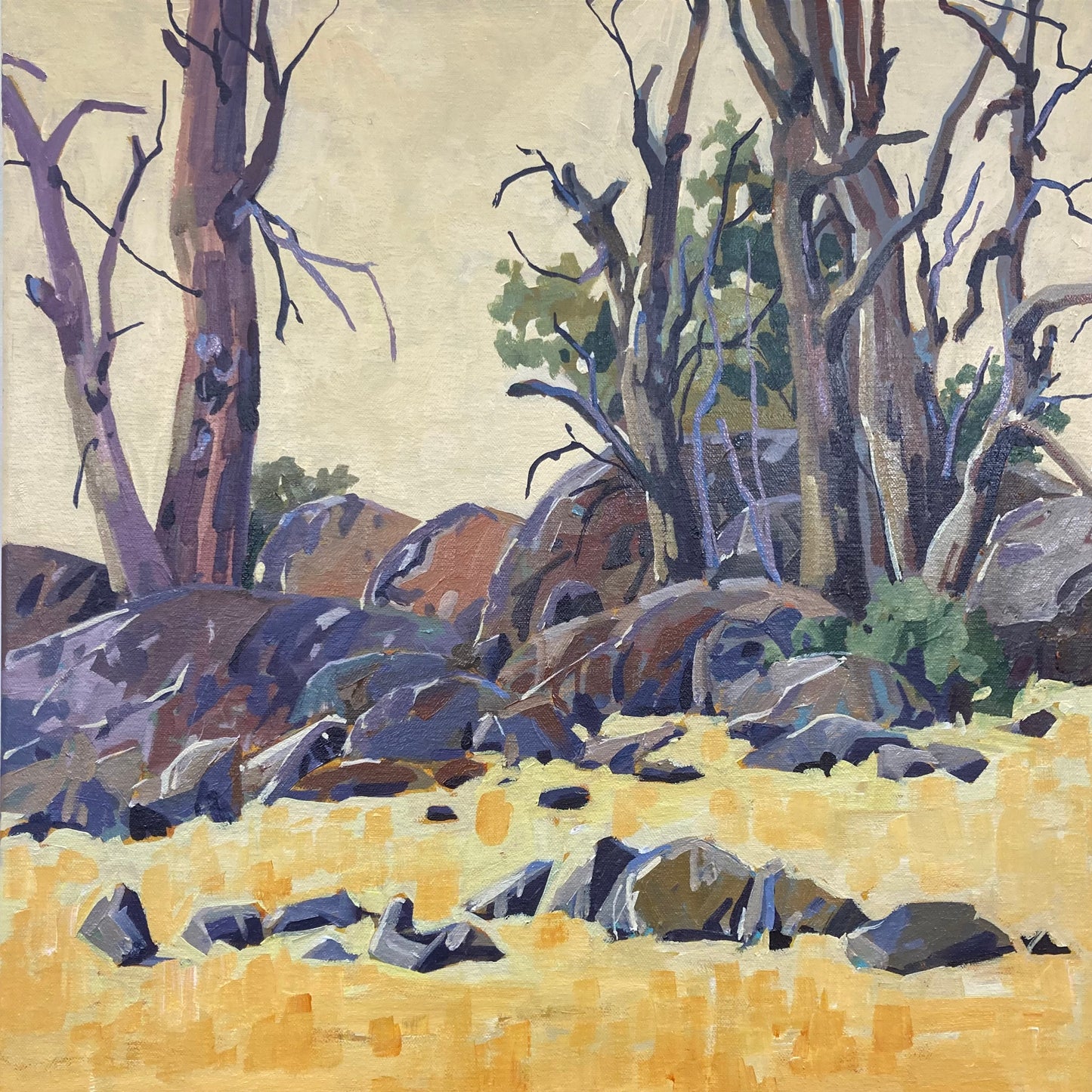 Granite on the Monaro