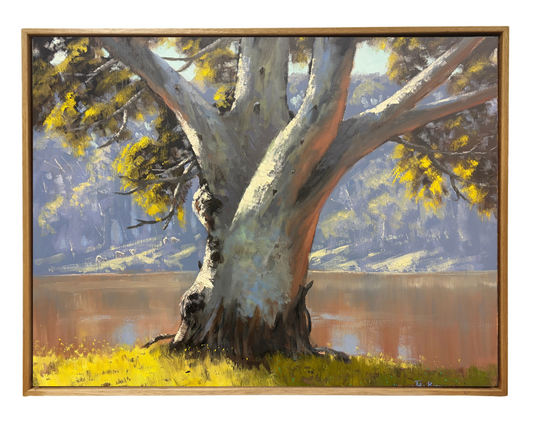 On the Macquarie