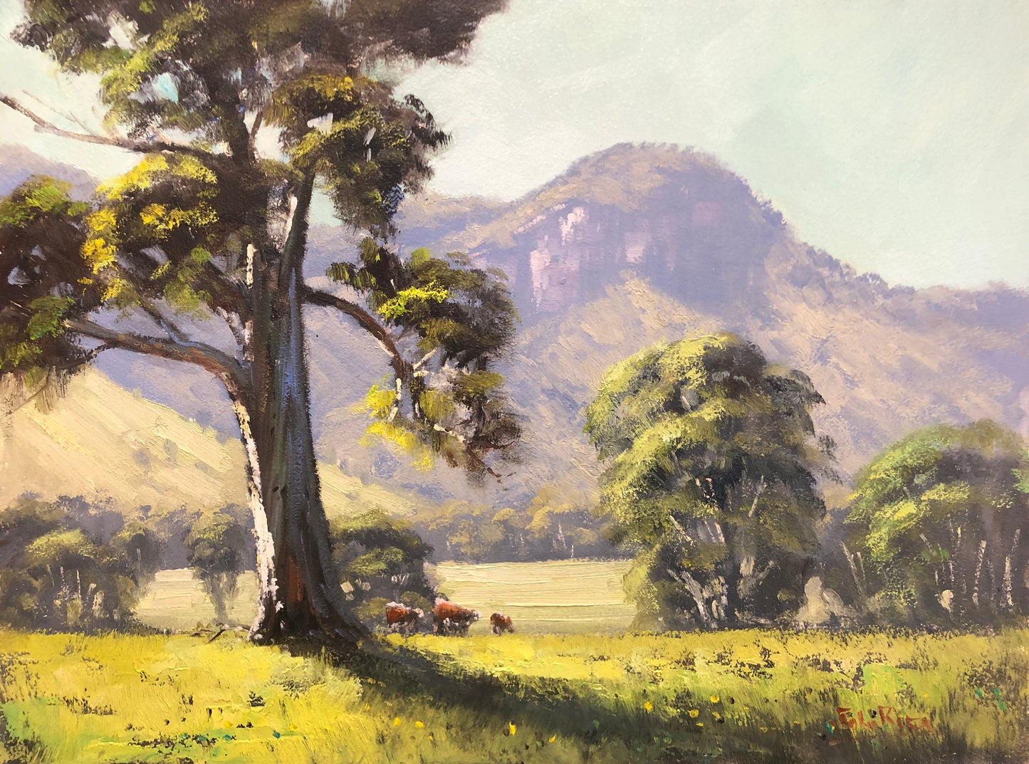 Unframed Original Landscapes by John Rice