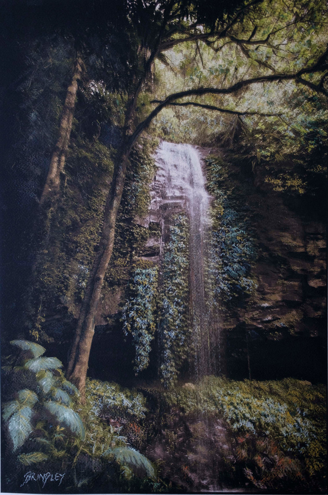 Gondwana - Crystal Shower Falls