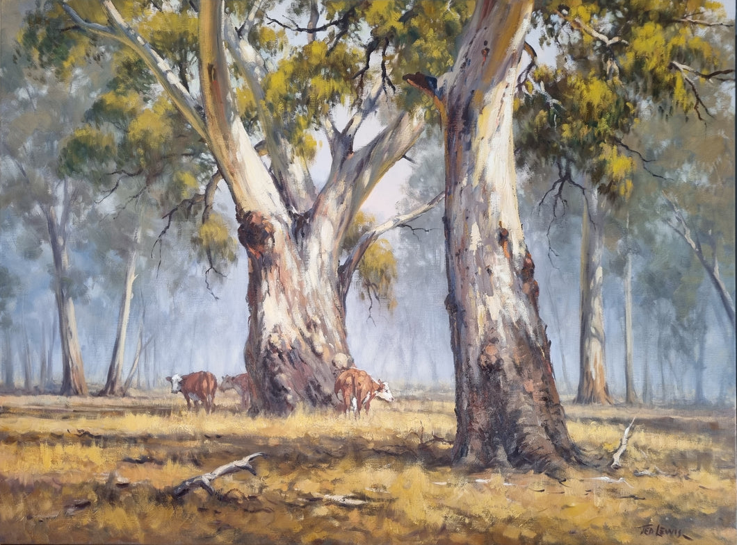 Grazing, Barmah