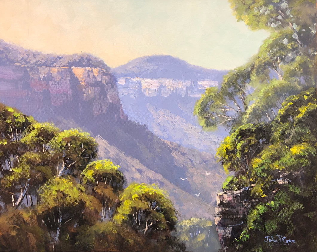 Grose Valley View