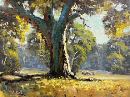 Unframed Original Landscapes by John Rice
