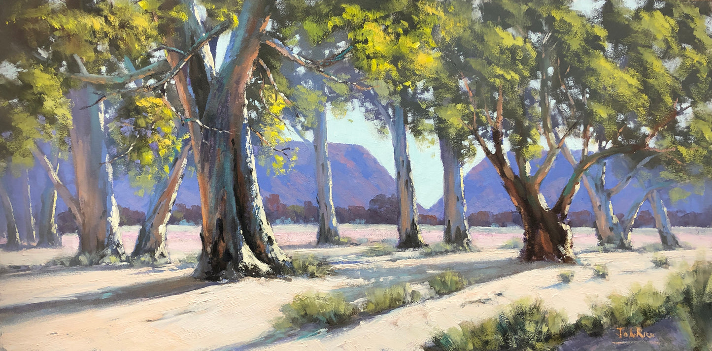 Gums at Honeymoon Gap