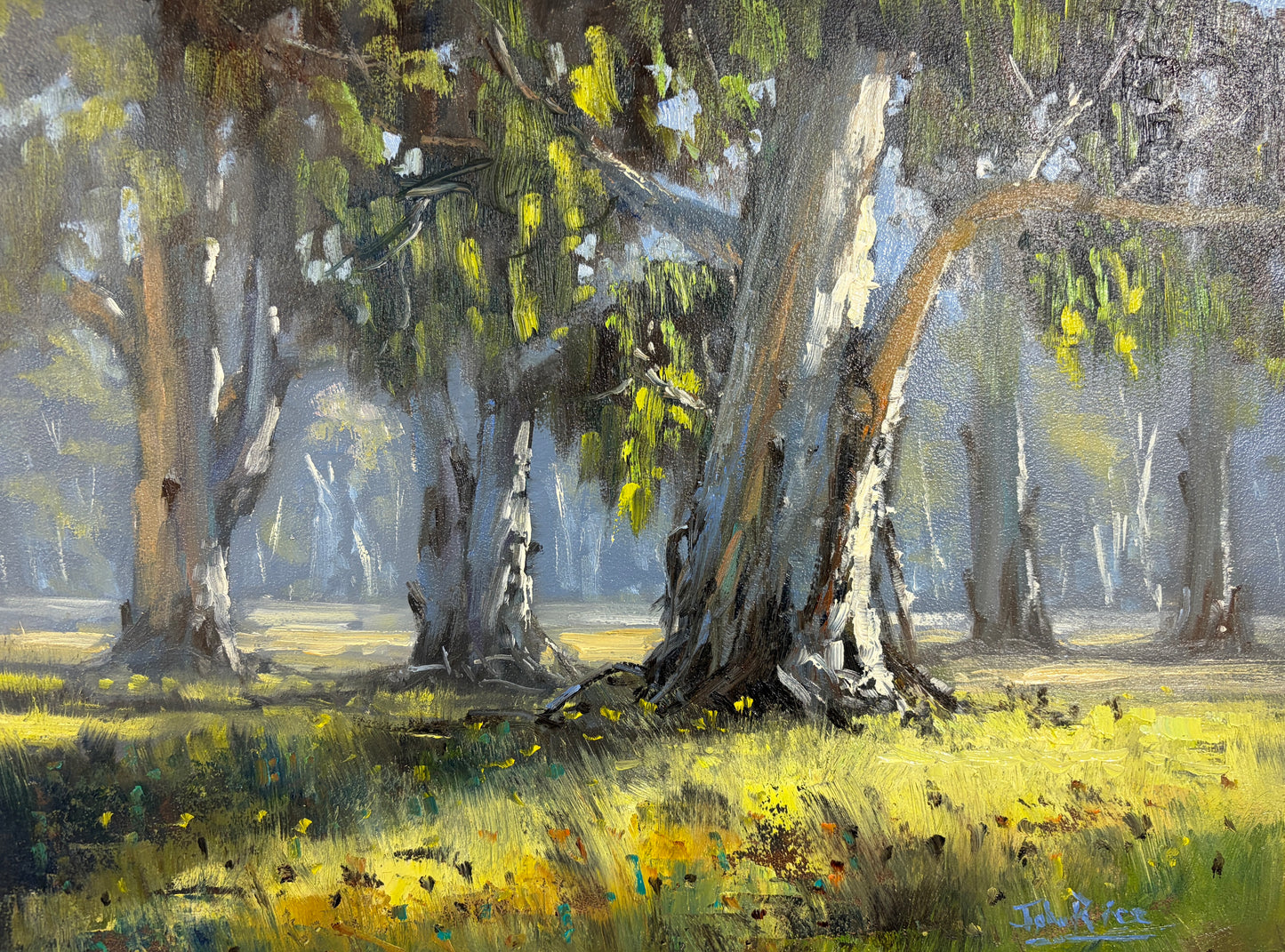 Unframed Original Landscapes by John Rice