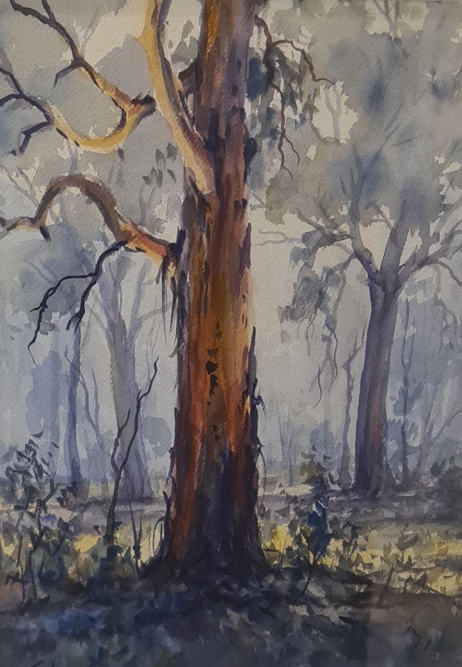 Gums and Mist