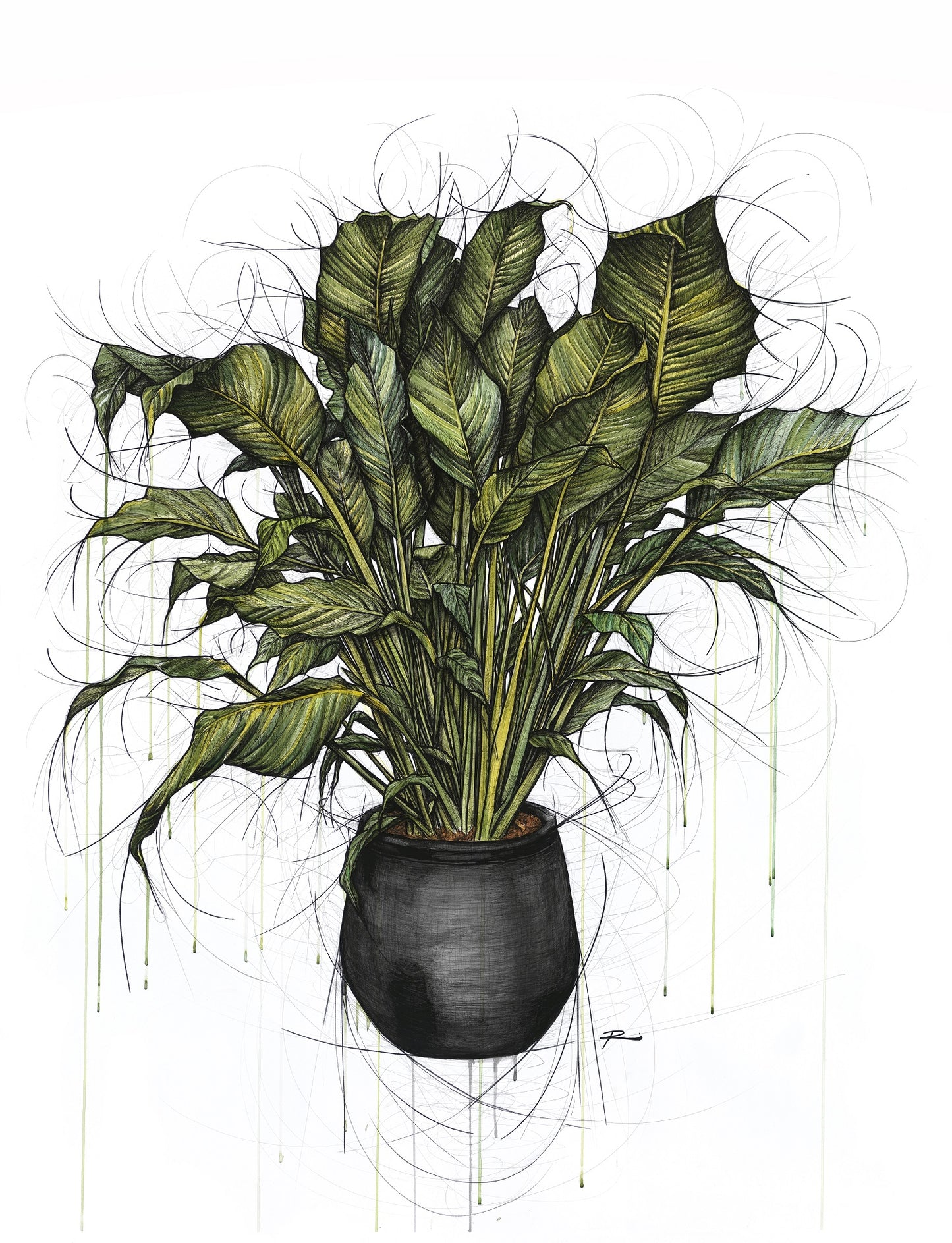 I Love You a Lily More Every Day