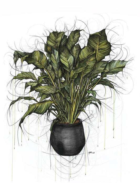 I Love You a Lily More Every Day