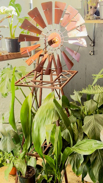 Southern Cross windmill - rusty steel