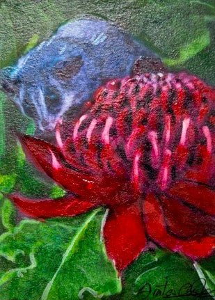 Hand-painted card - Waratah &amp; Possum