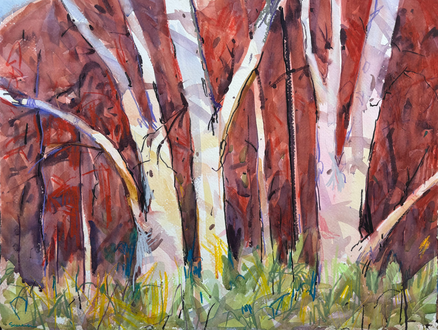 Songs in the Bush