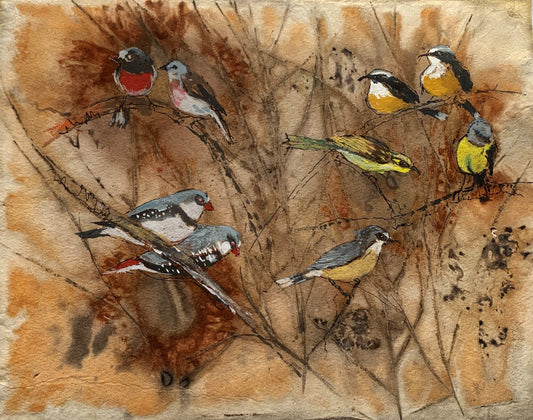 Woodland Birds