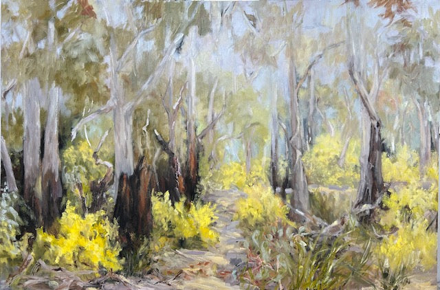 Sunlight and Wattle, Fairfax Track