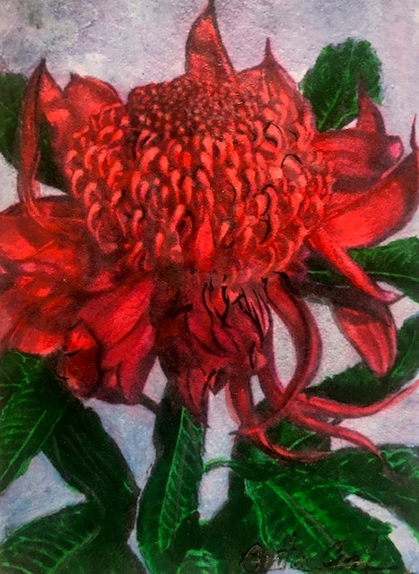 Hand-painted card - Waratah 5