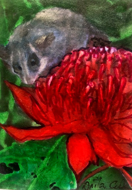 Hand-painted card - Waratah 4 with Pygmy Possum