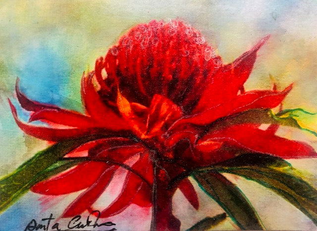 Hand-painted card - Waratah 3