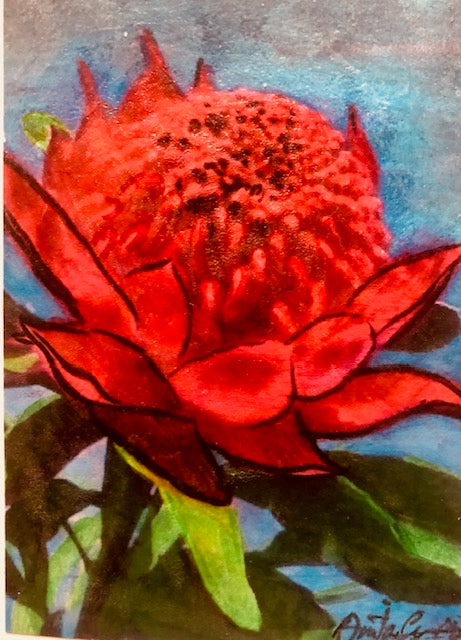 Hand-painted card - Waratah 2